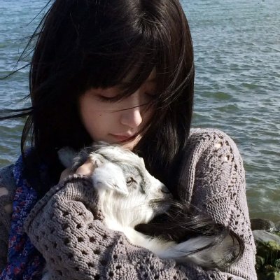 神探夏洛克：可恶的新娘